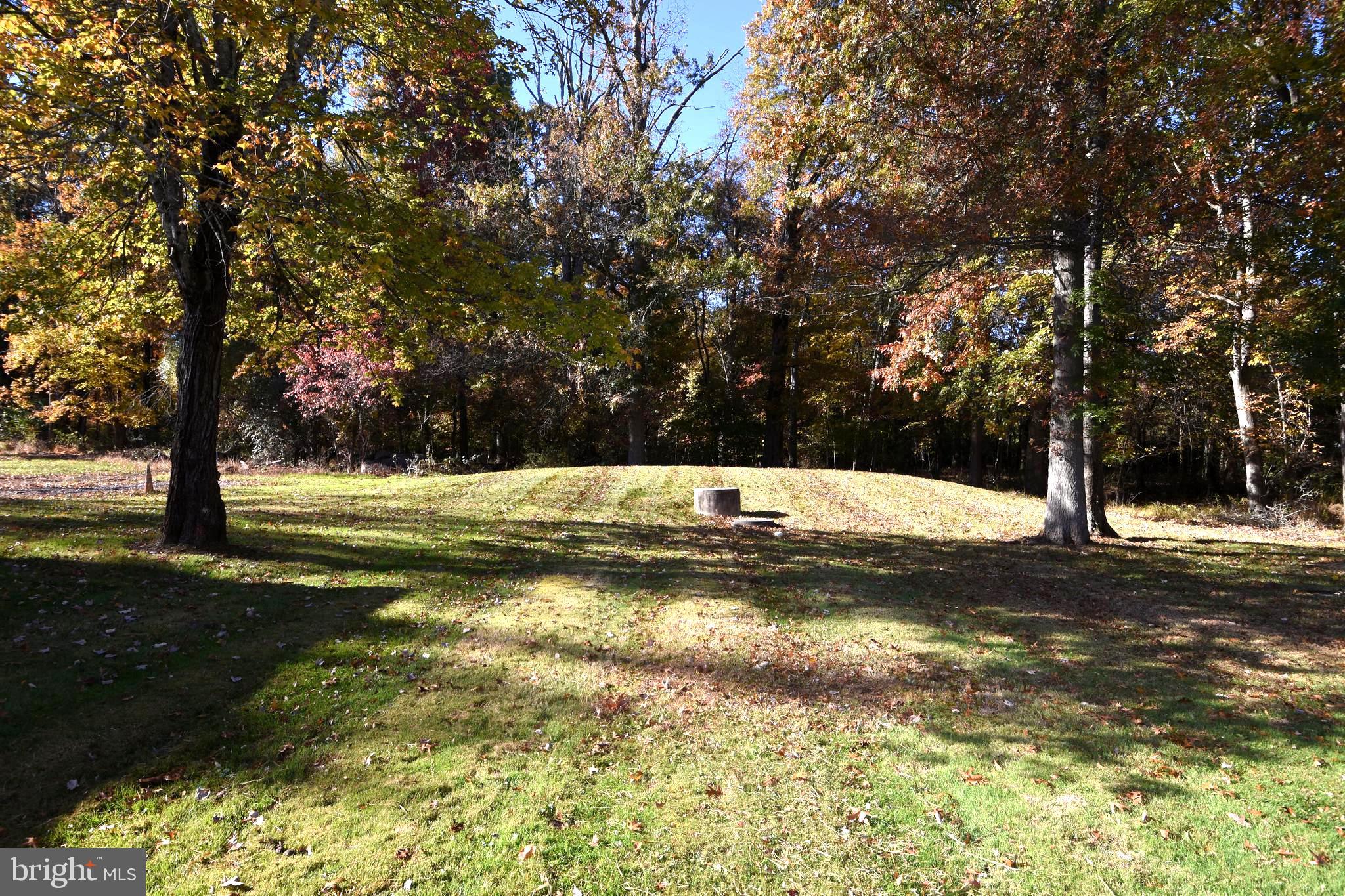 1692 Chestnut Ridge Road Upper Black Eddy, PA 18972 - Photo 23 of 39 back yard