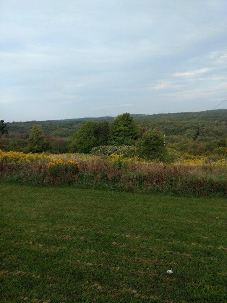 338 Ridge Road Broome, NY 12122 - Photo 4 of 11 Photo 4