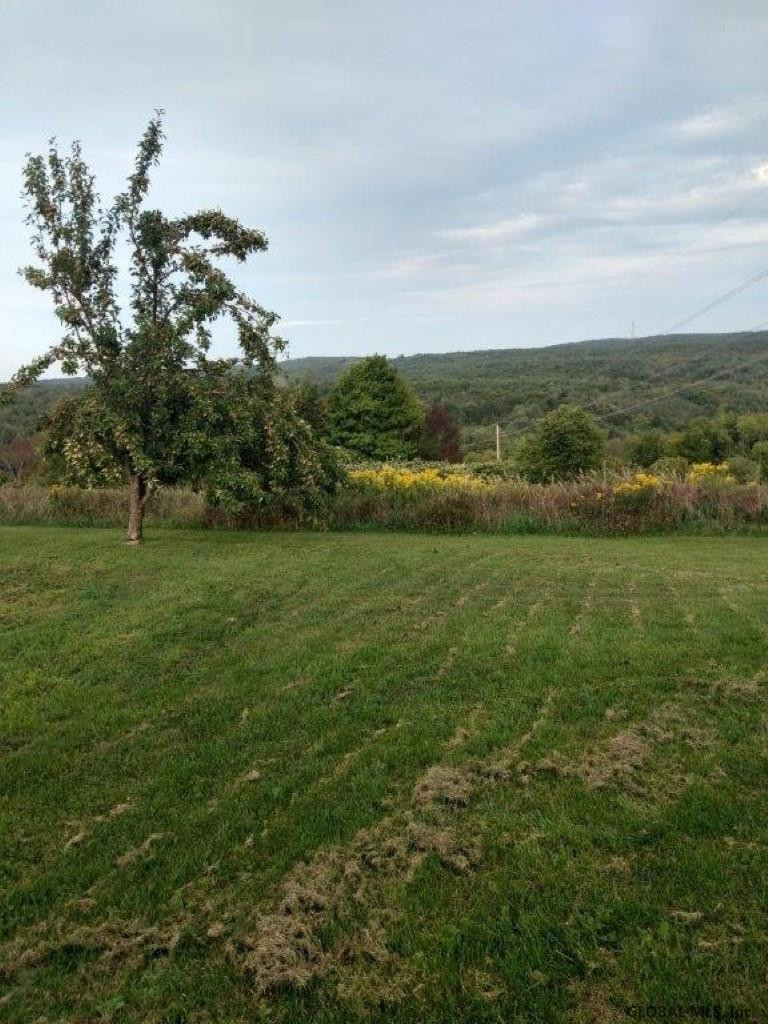 338 Ridge Road Broome, NY 12122 - Photo 5 of 11 Photo 5