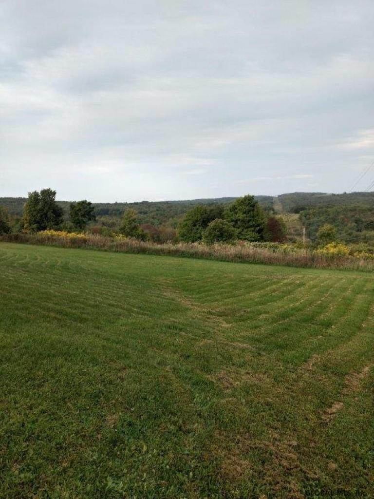 338 Ridge Road Broome, NY 12122 - Photo 9 of 11 Photo 9