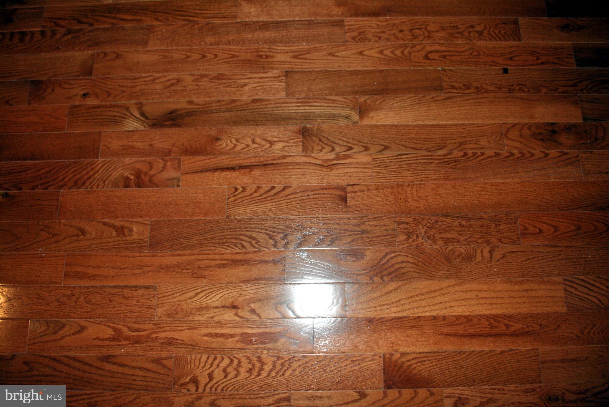 6817 Richardson Road Baltimore, MD 21207 - Photo 2 of 18 Interior (General)
