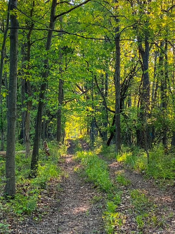 0 Fish Lake Road Holly, MI 48442 - Photo 16 of 17