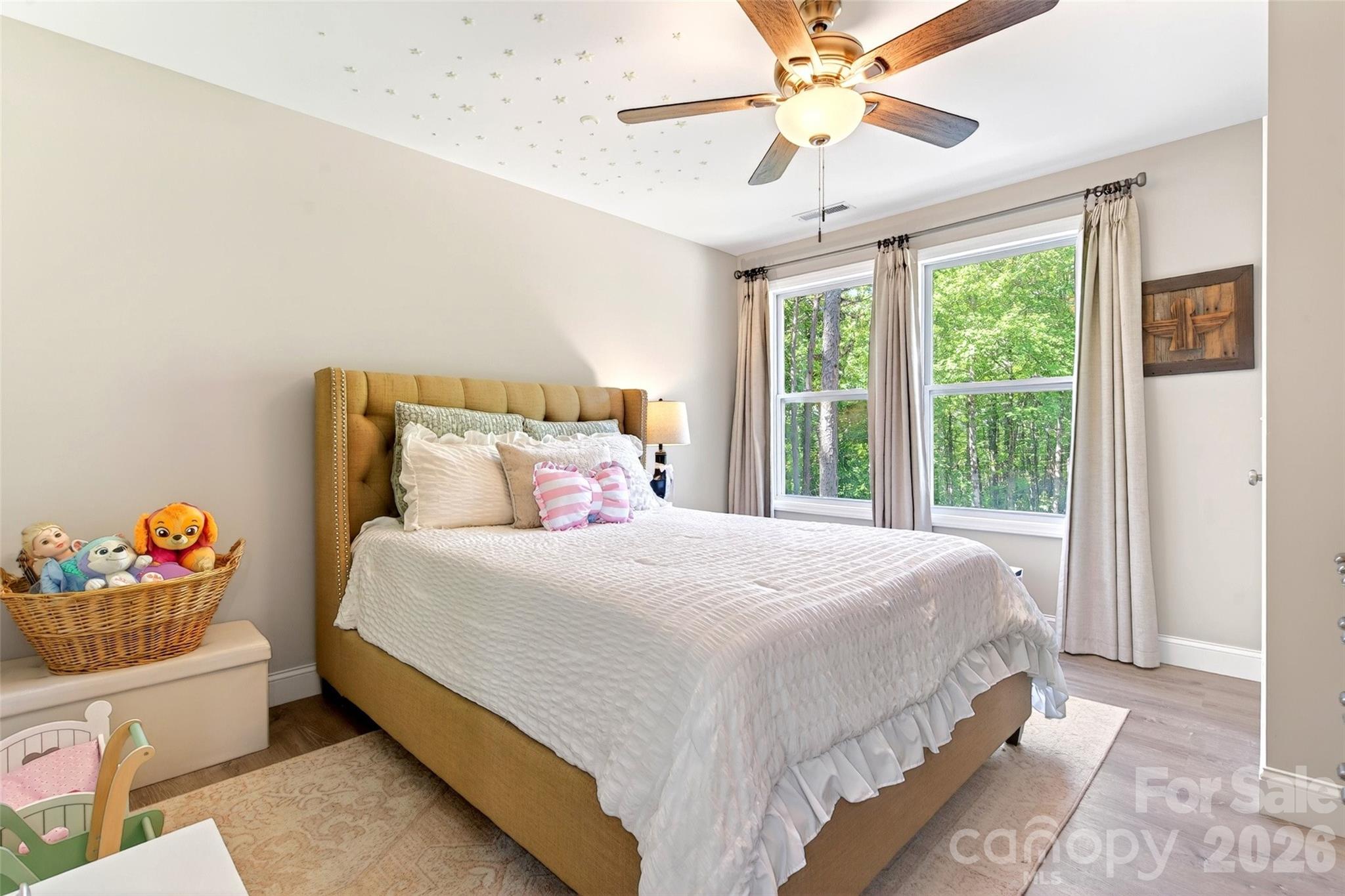 215 David Rdg Road Black Mountain, NC 28711 - Photo 29 of 48