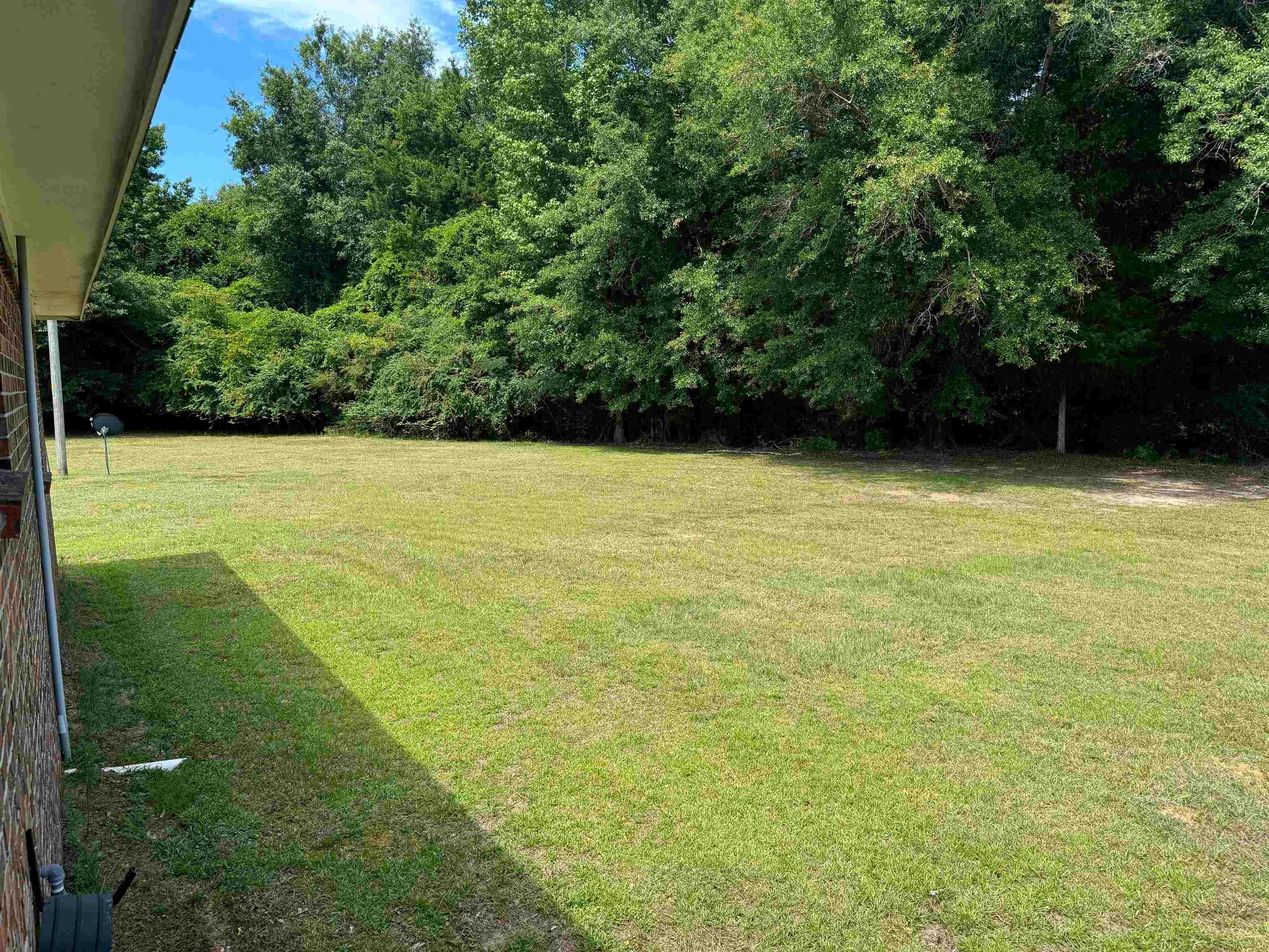2117 Cameron Road Red Level, AL 36474 - Photo 9 of 28 Gallery Image 9