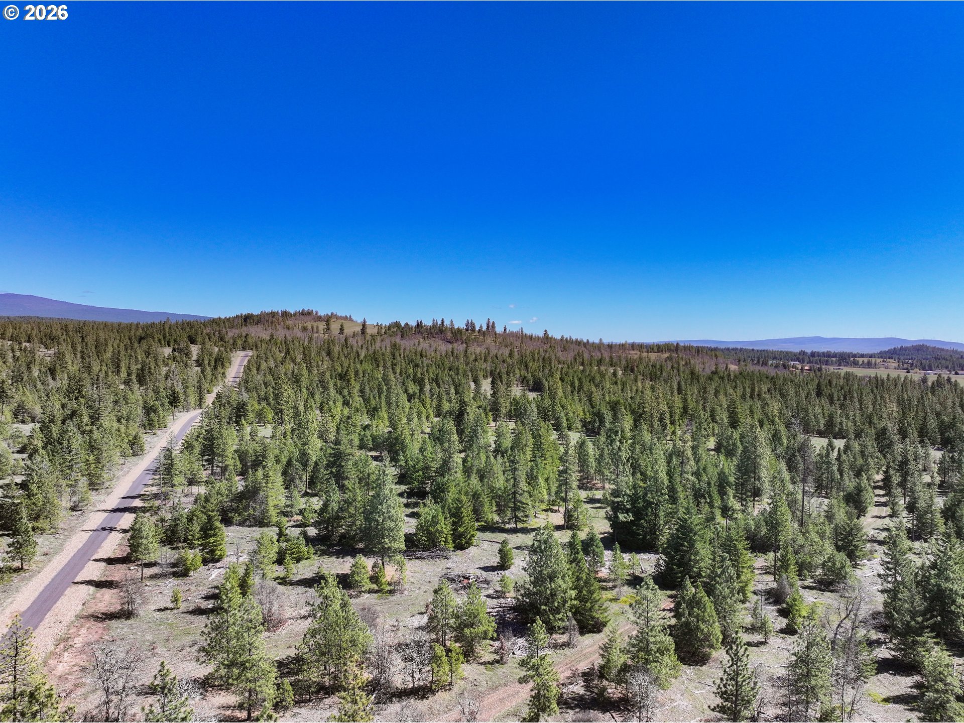 Ginger Way, Unit 2 Goldendale, WA 98620 - Photo 11 of 12 a view of a city with lush green forest