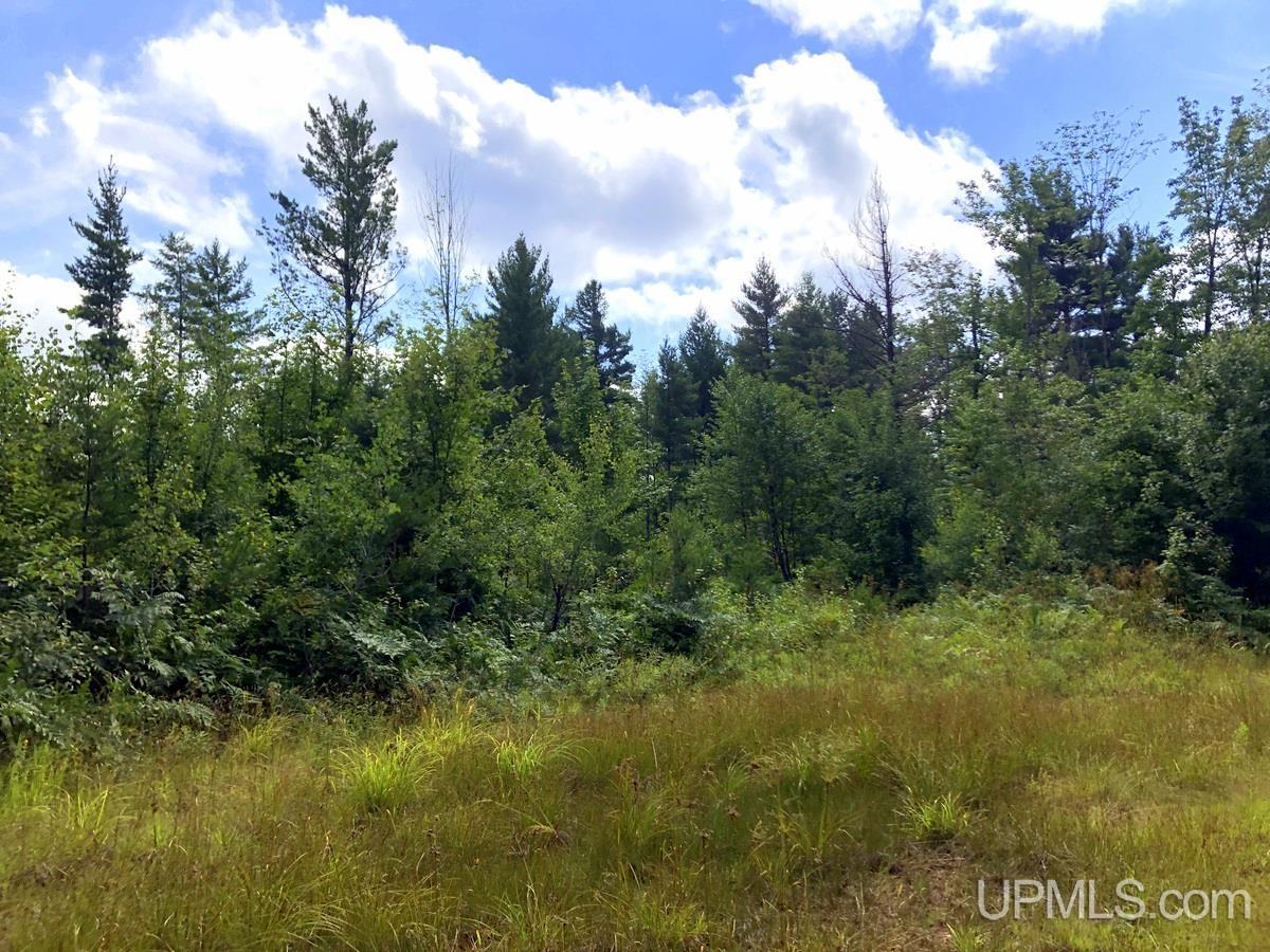 Tbd Tbd Co Road Negaunee, MI 49866 - Photo 3 of 24