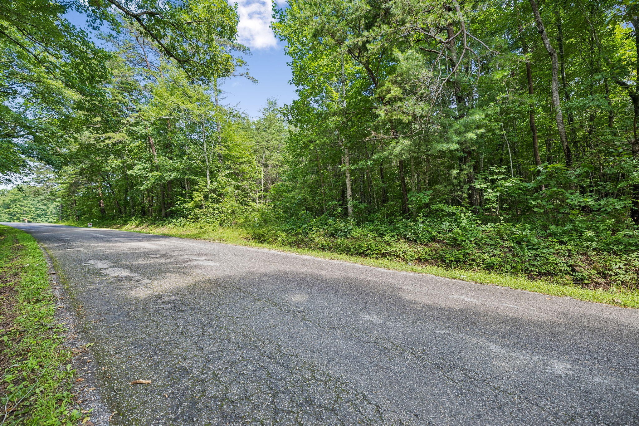 0 Ridge Road Lancing, TN 37770 - Photo 7 of 18