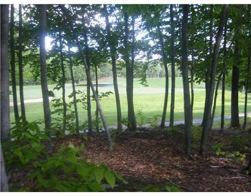 1633 Ridge Road Standish, ME 04084 - Photo 15 of 18 Other. Frye Island Golf Course