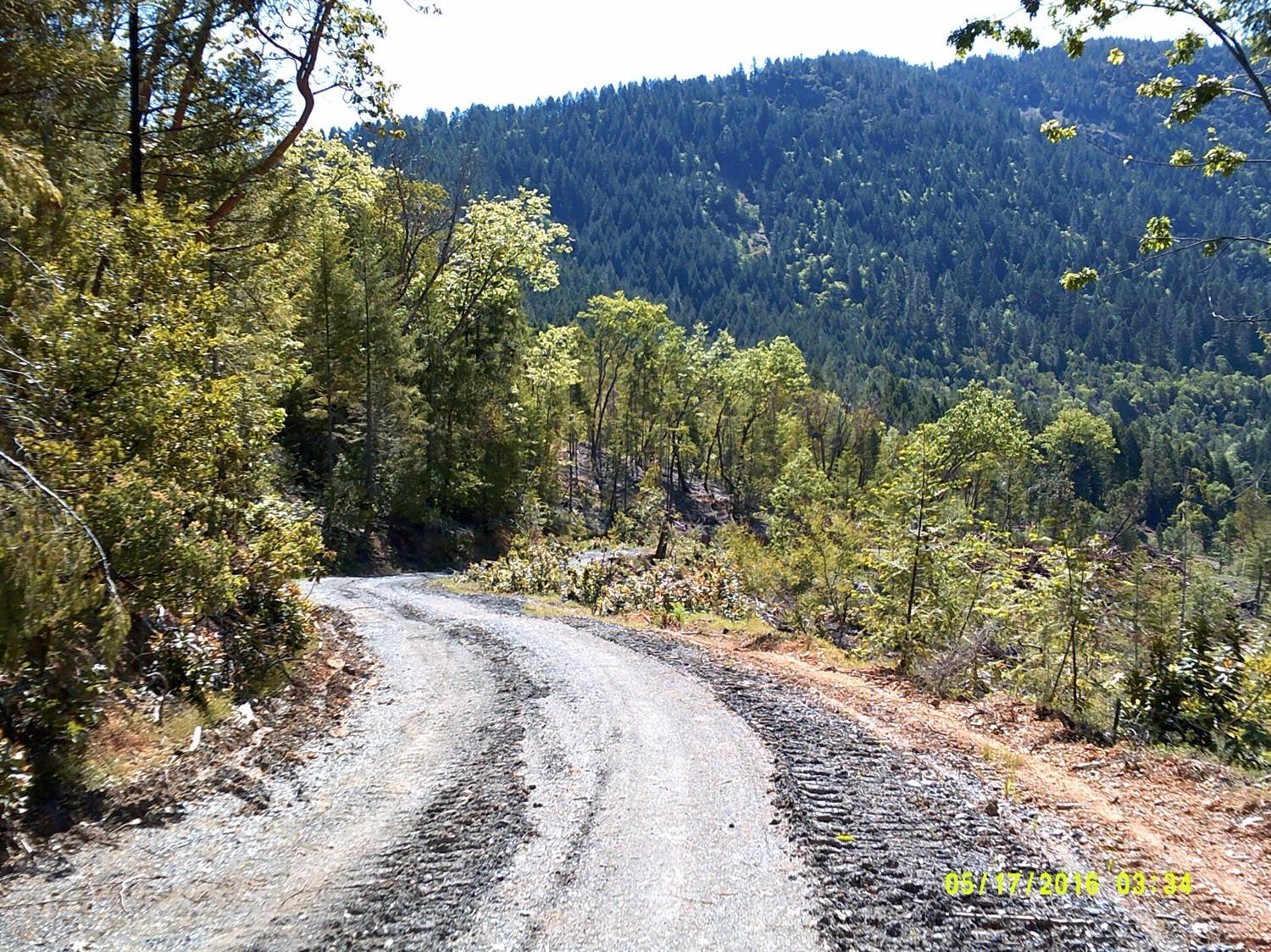 0 Taylor Creek Road Merlin, OR 97532 - Photo 9 of 16 Back side of property, road leading down