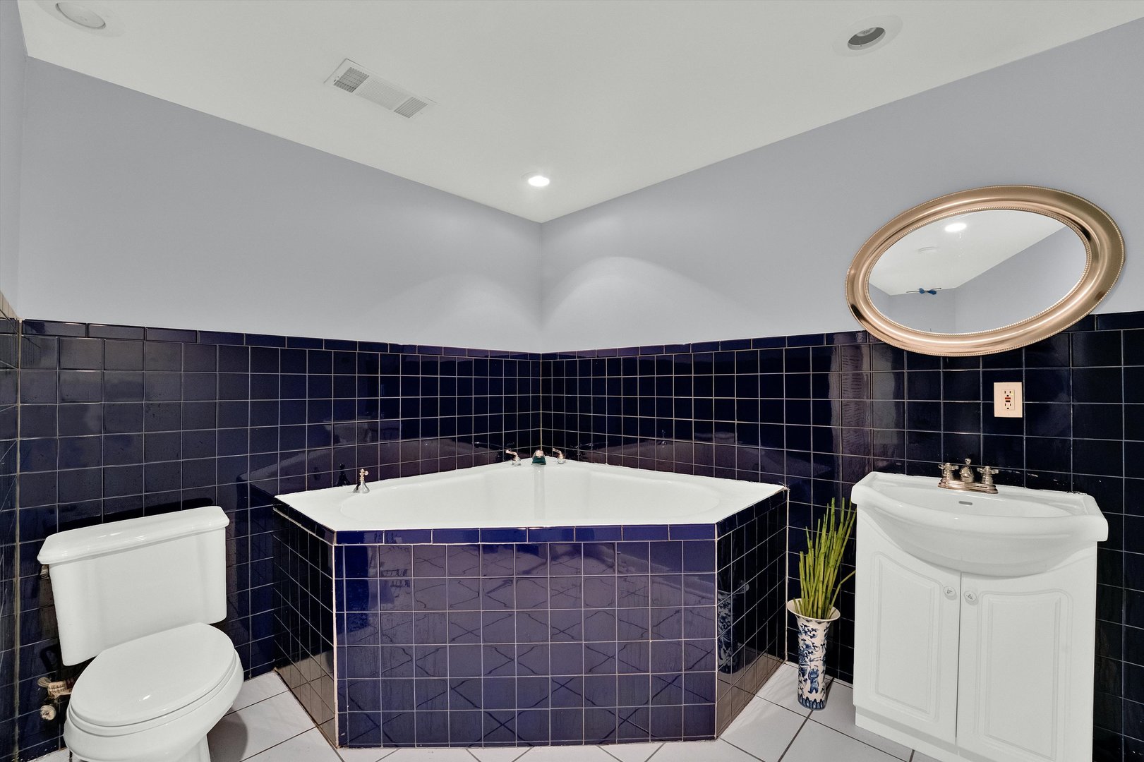 8950 East Prairie Road Evanston, IL 60203 - Photo 25 of 25 a bathroom with a sink a toilet and a mirror