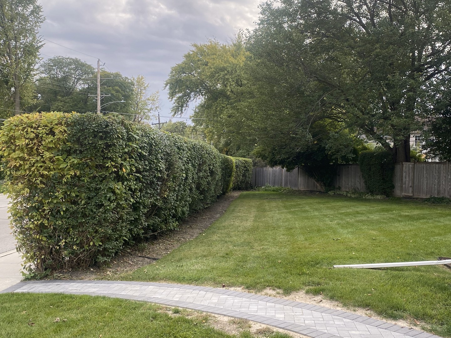 8950 East Prairie Road Evanston, IL 60203 - Photo 4 of 25 a view of a backyard