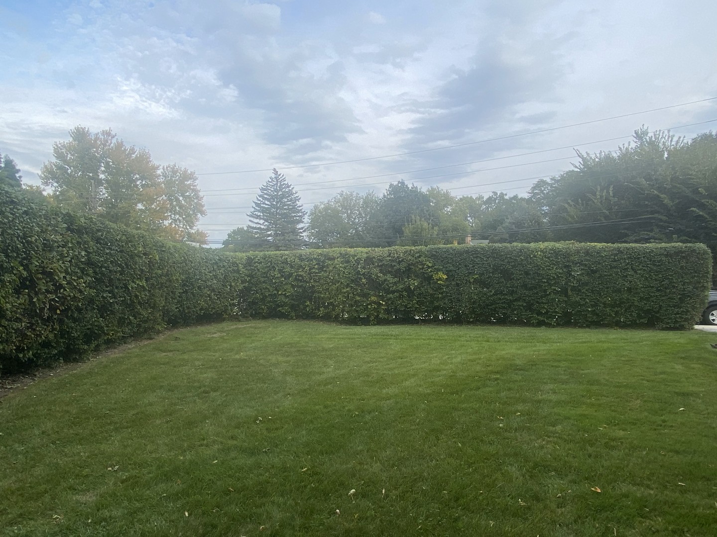 8950 East Prairie Road Evanston, IL 60203 - Photo 5 of 25 a view of a field with an outdoor space