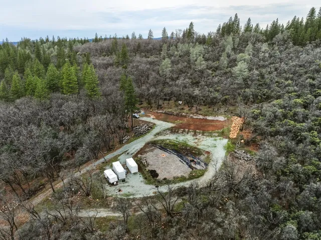 a view of a wooden bridge with large trees