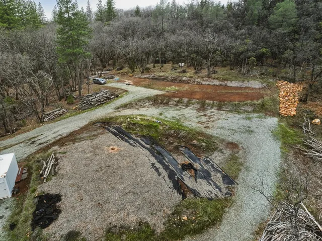 a view of a yard with a tree