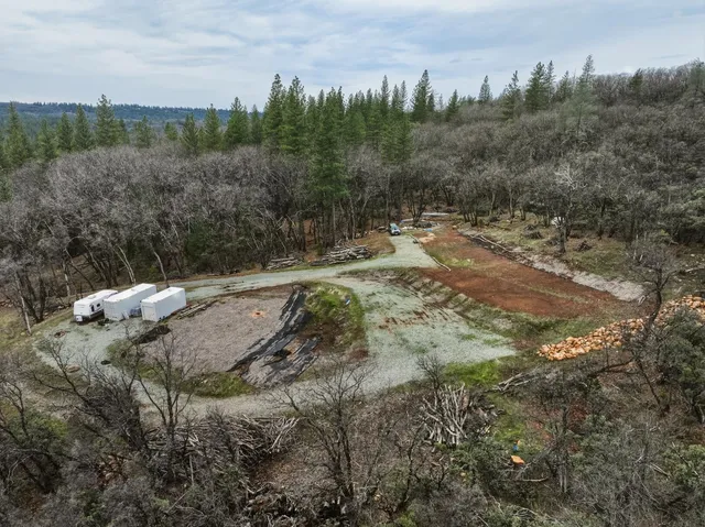 a view of a dry yard with trees