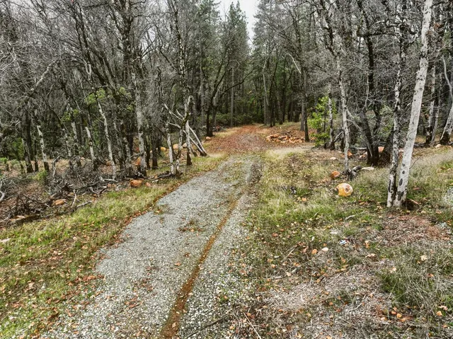 a view of outdoor space and yard