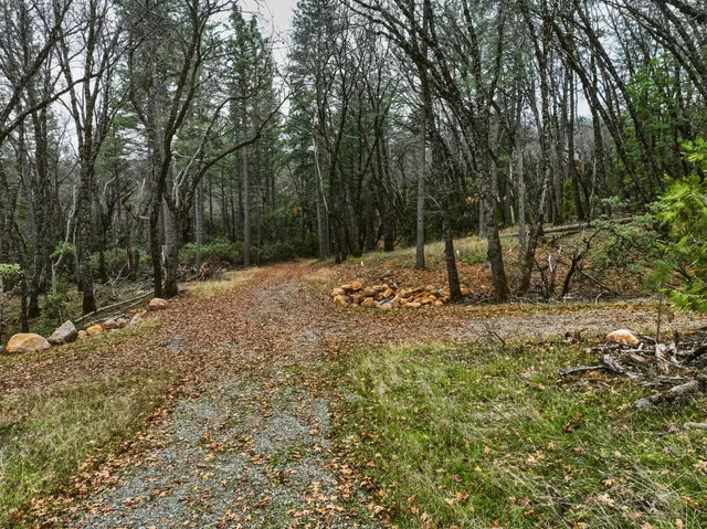 a backyard of a house with lots of green space