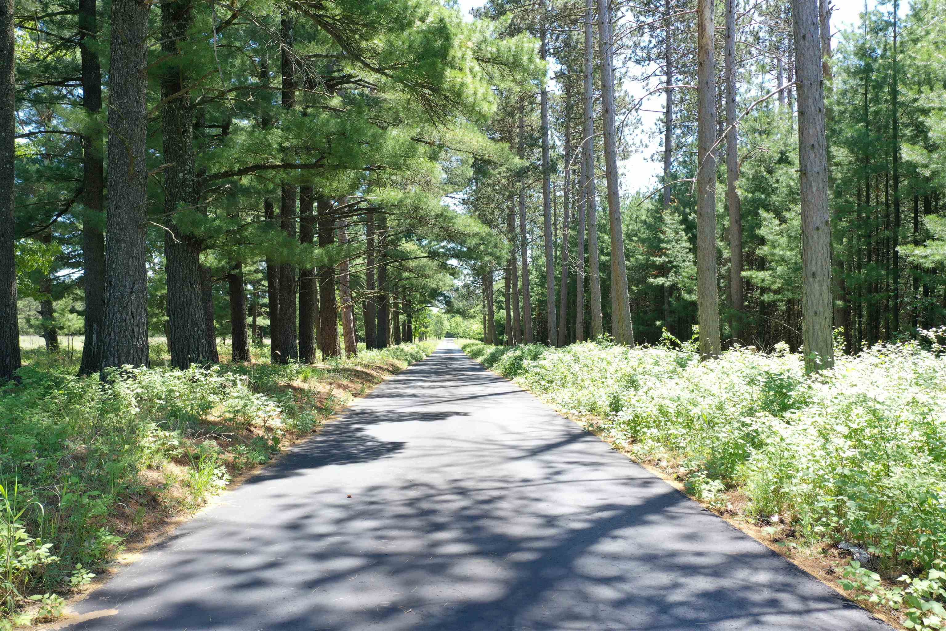 W4301 County Rd A Pine River, WI 54965 - Photo 11 of 62