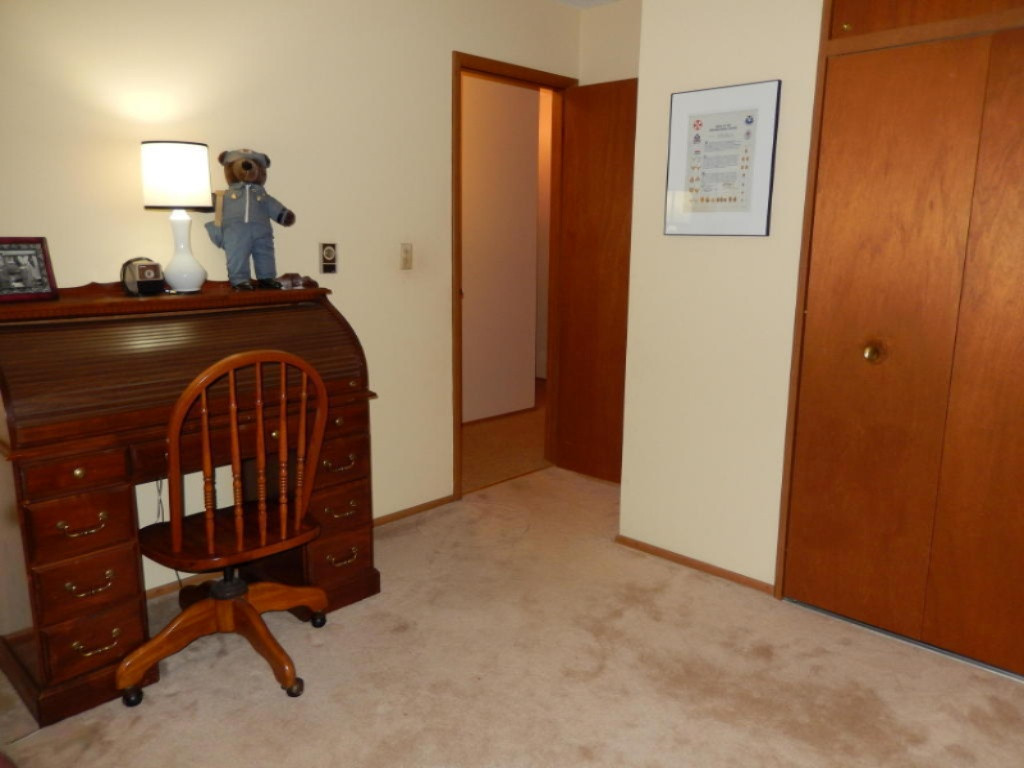 271 Ridgewood Court Ionia, MI 48846 - Photo 15 of 21 19