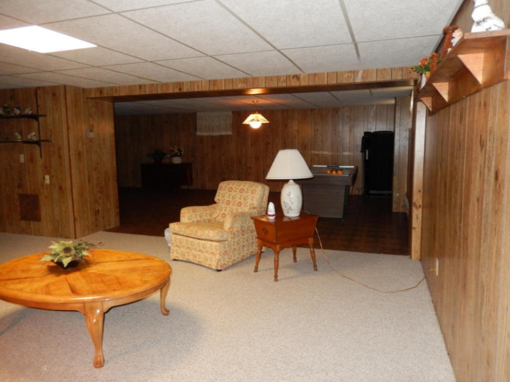 271 Ridgewood Court Ionia, MI 48846 - Photo 19 of 21 23