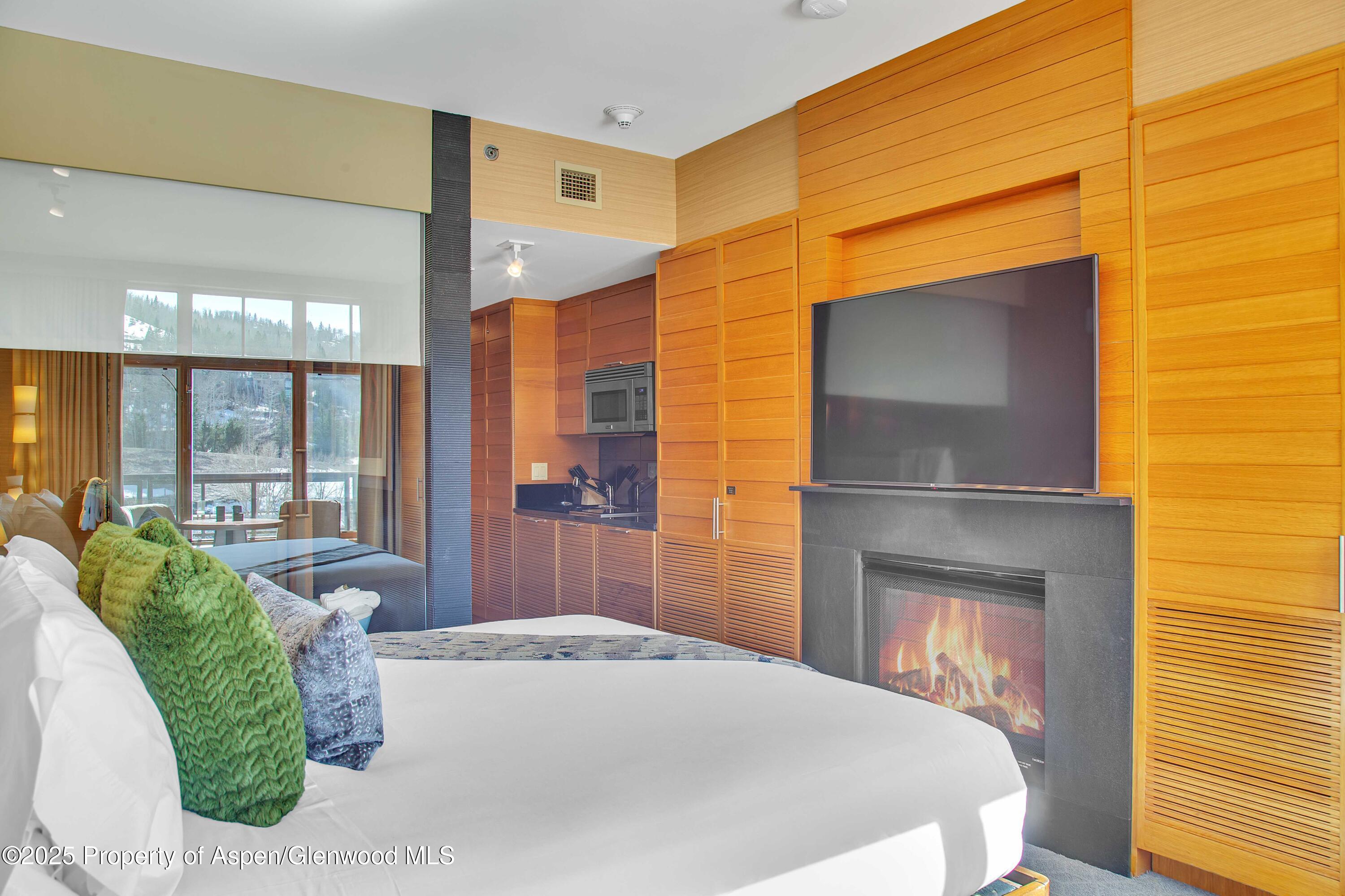130 Wood Road, Unit 736 Snowmass Village, CO 81615 - Photo 3 of 15 F09A1410