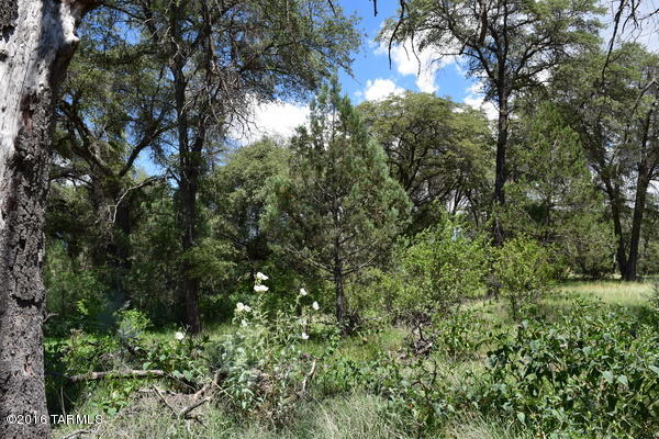 0 Mellor Road Elgin, AZ 85611 - Photo 1 of 9