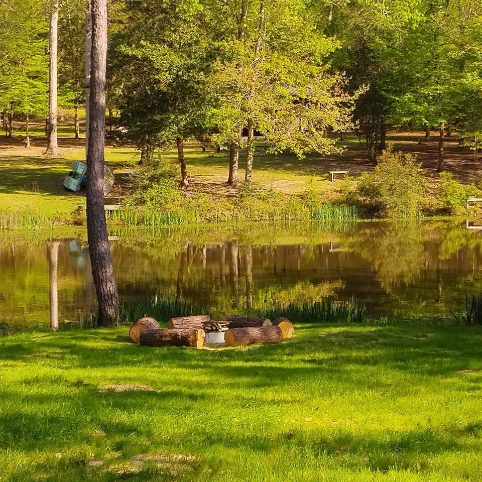 250 Bobby Baer Road Livingston, TX 77351 - Photo 3 of 4 a view of a swimming pool with a big yard and large trees