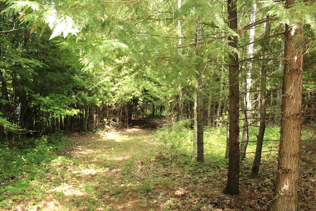 West Carlsville Road Sturgeon Bay, WI 54235 - Photo 5 of 7