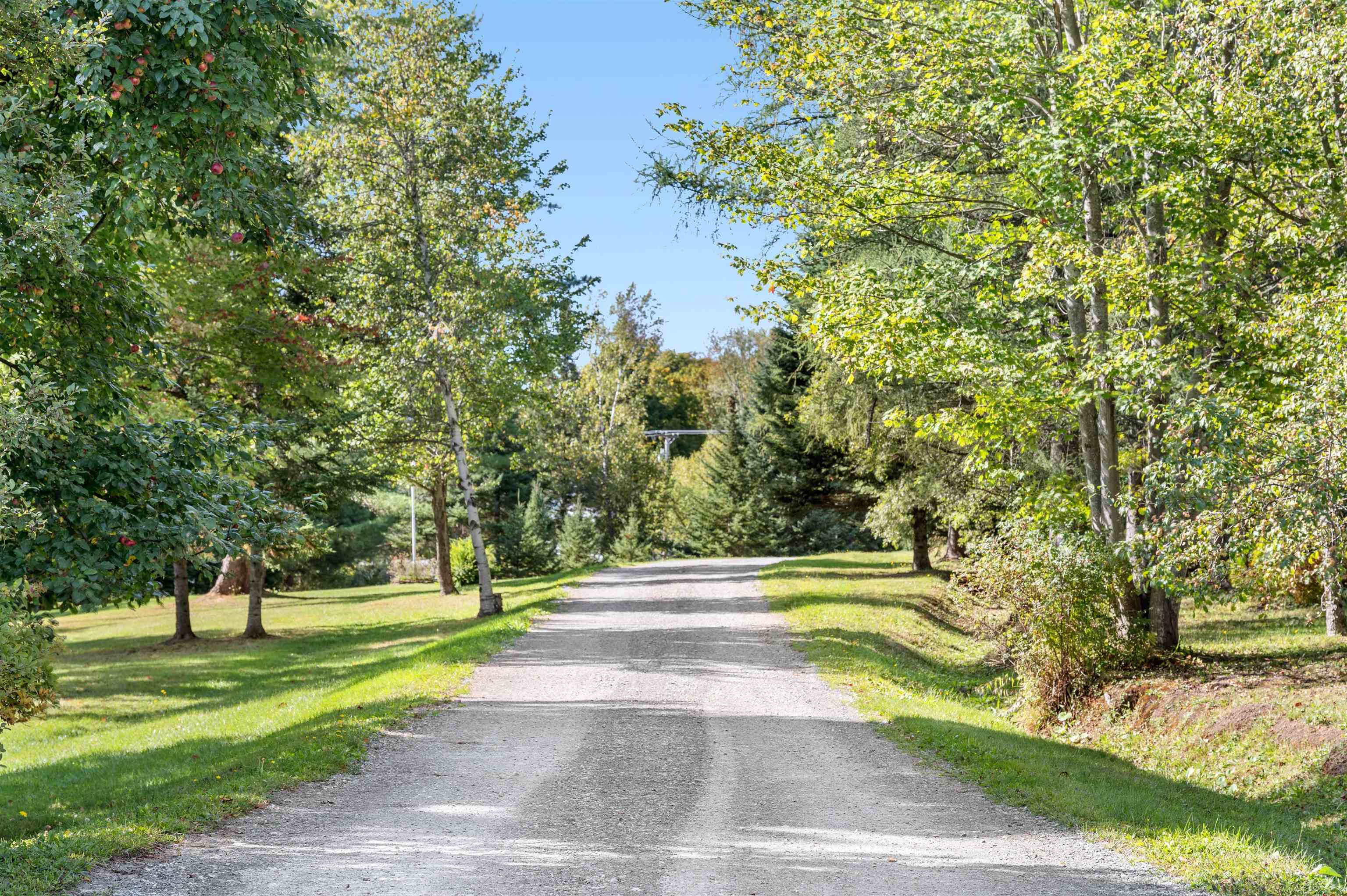 80 Center Road Hardwick, VT 05843 - Photo 8 of 59