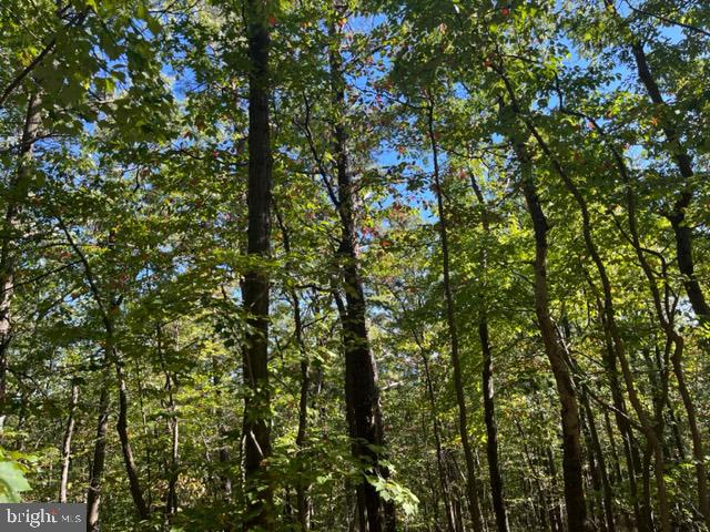 0 Stagg Trail Winchester, VA 22602 - Photo 3 of 10