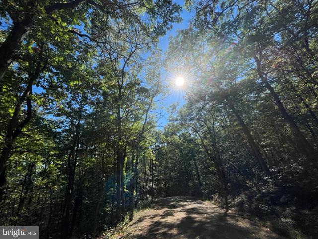 0 Stagg Trail Winchester, VA 22602 - Photo 5 of 10 a view of a yard