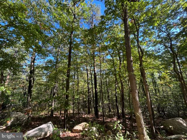 0 Stagg Trail Winchester, VA 22602 - Photo 6 of 10 a view of outdoor space and yard