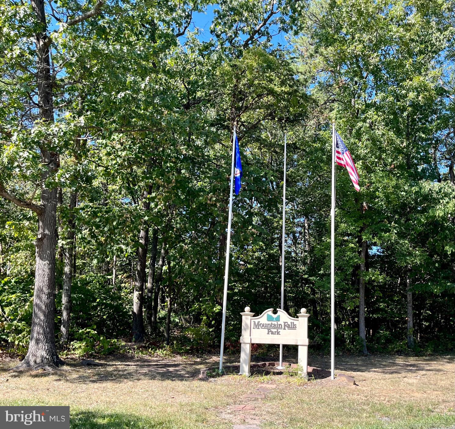 0 Stagg Trail Winchester, VA 22602 - Photo 7 of 10 a lawn chairs sitting in a yard and covered with trees