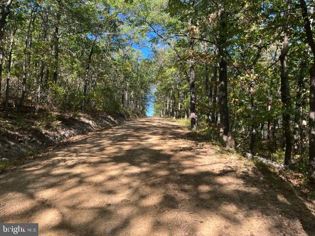 0 Stagg Trail Winchester, VA 22602 - Photo 9 of 10 a view of outdoor space with trees