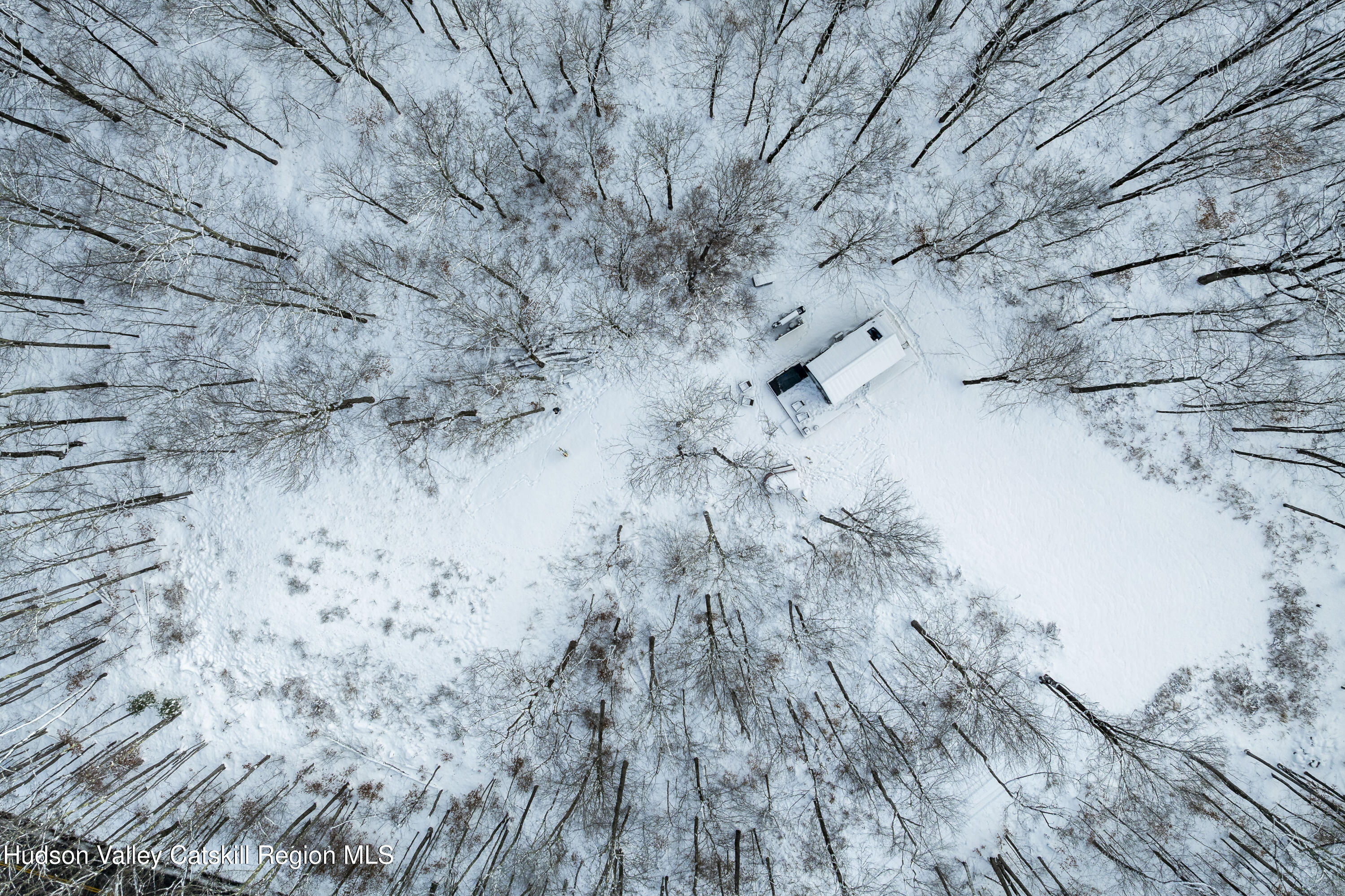 692 Blenheim Hill Road Jefferson, NY 12093 - Photo 17 of 21 a view of a dry yard with trees