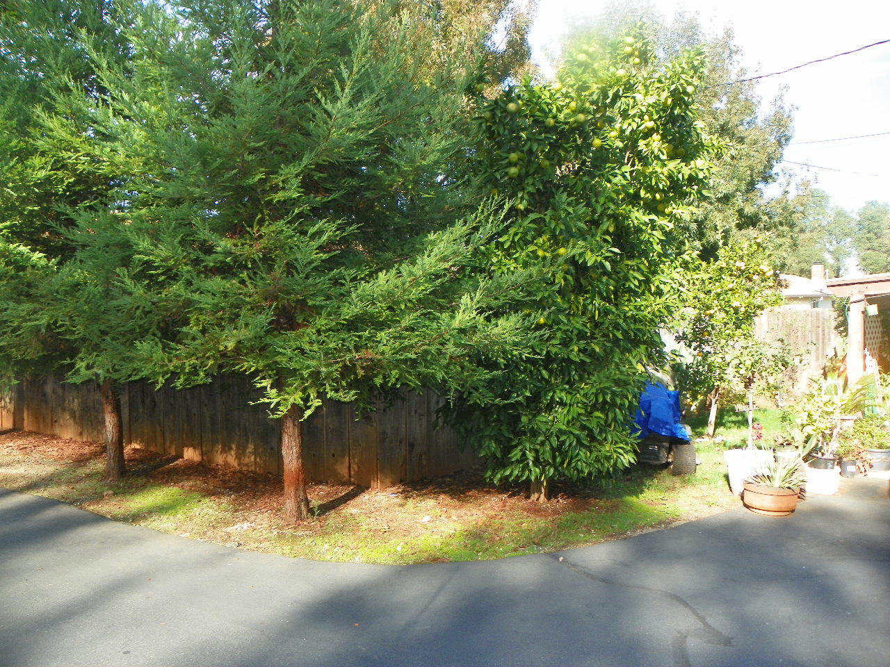 3601 Echo Road Redding, CA 96002 - Photo 9 of 13 a view of yellow house next to a road and trees