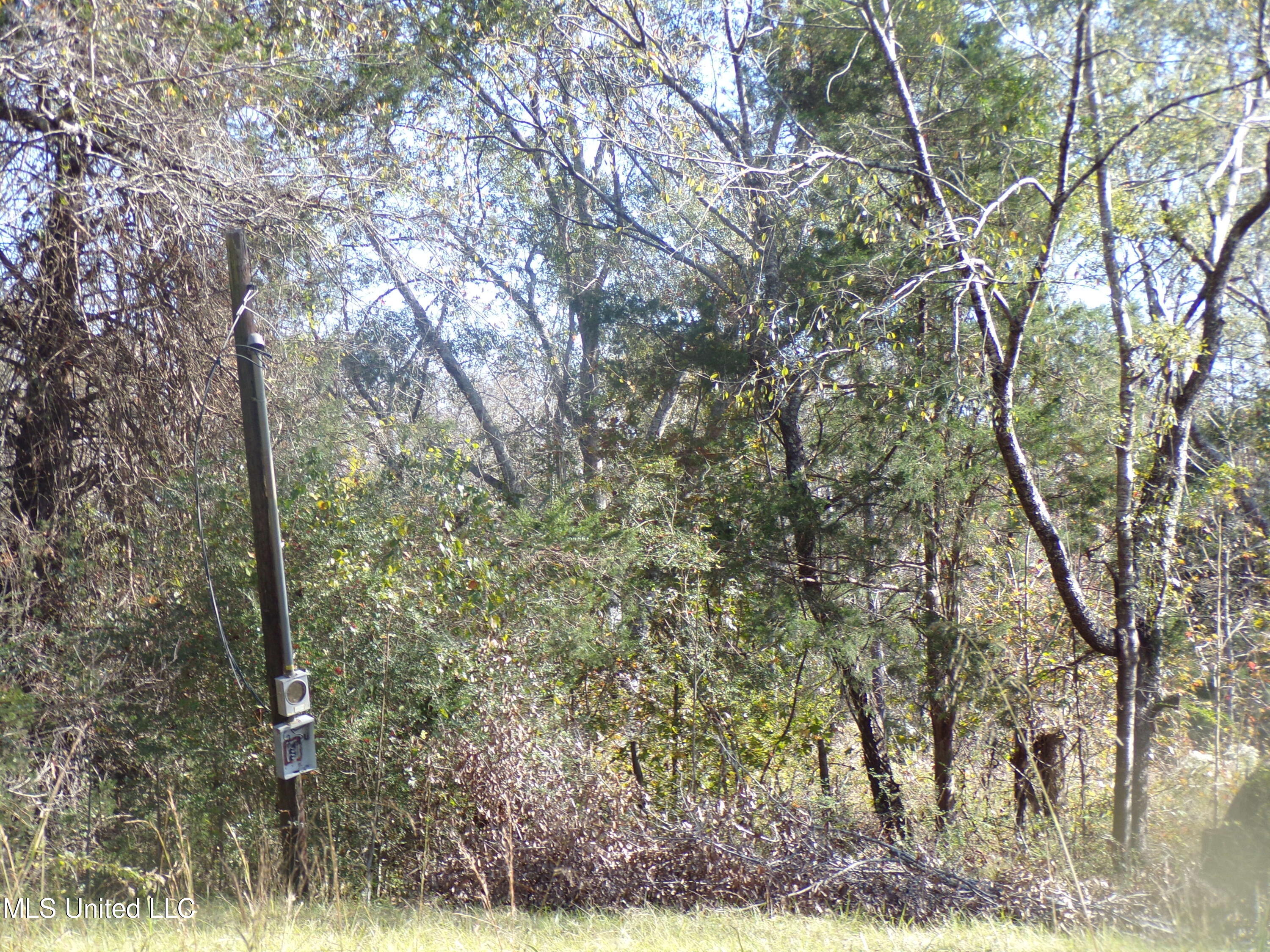 2111 Pleasant Ridge Road Chunky, MS 39323 - Photo 14 of 18 101_2521