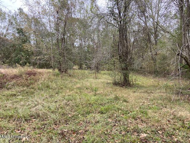2111 Pleasant Ridge Road Chunky, MS 39323 - Photo 16 of 18 IMG_2029