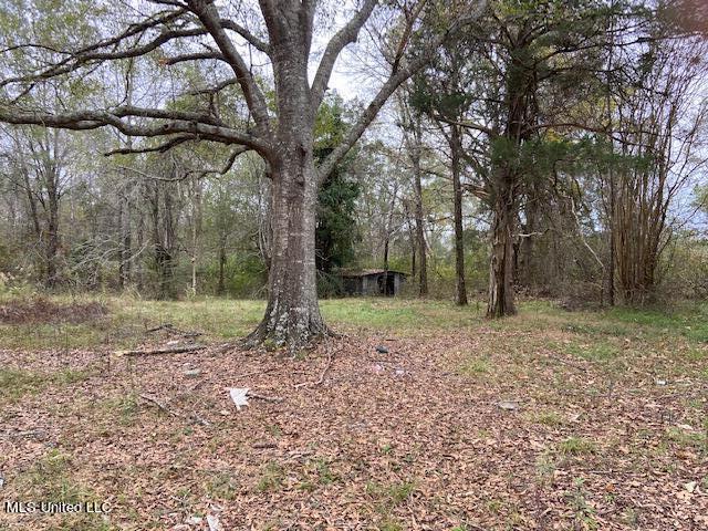 2111 Pleasant Ridge Road Chunky, MS 39323 - Photo 2 of 18 IMG_2027