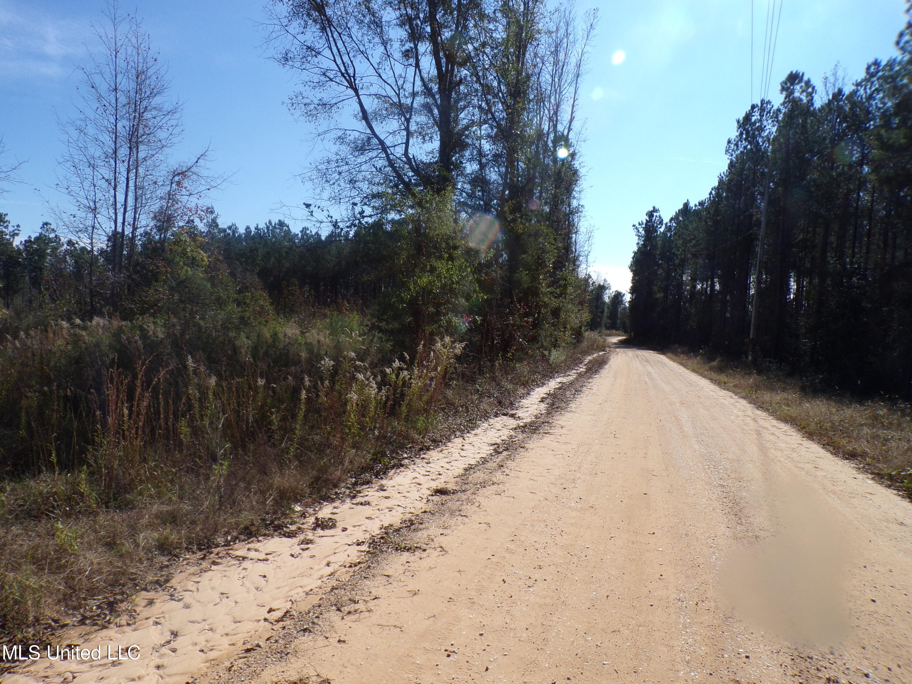 2111 Pleasant Ridge Road Chunky, MS 39323 - Photo 3 of 18 101_2510
