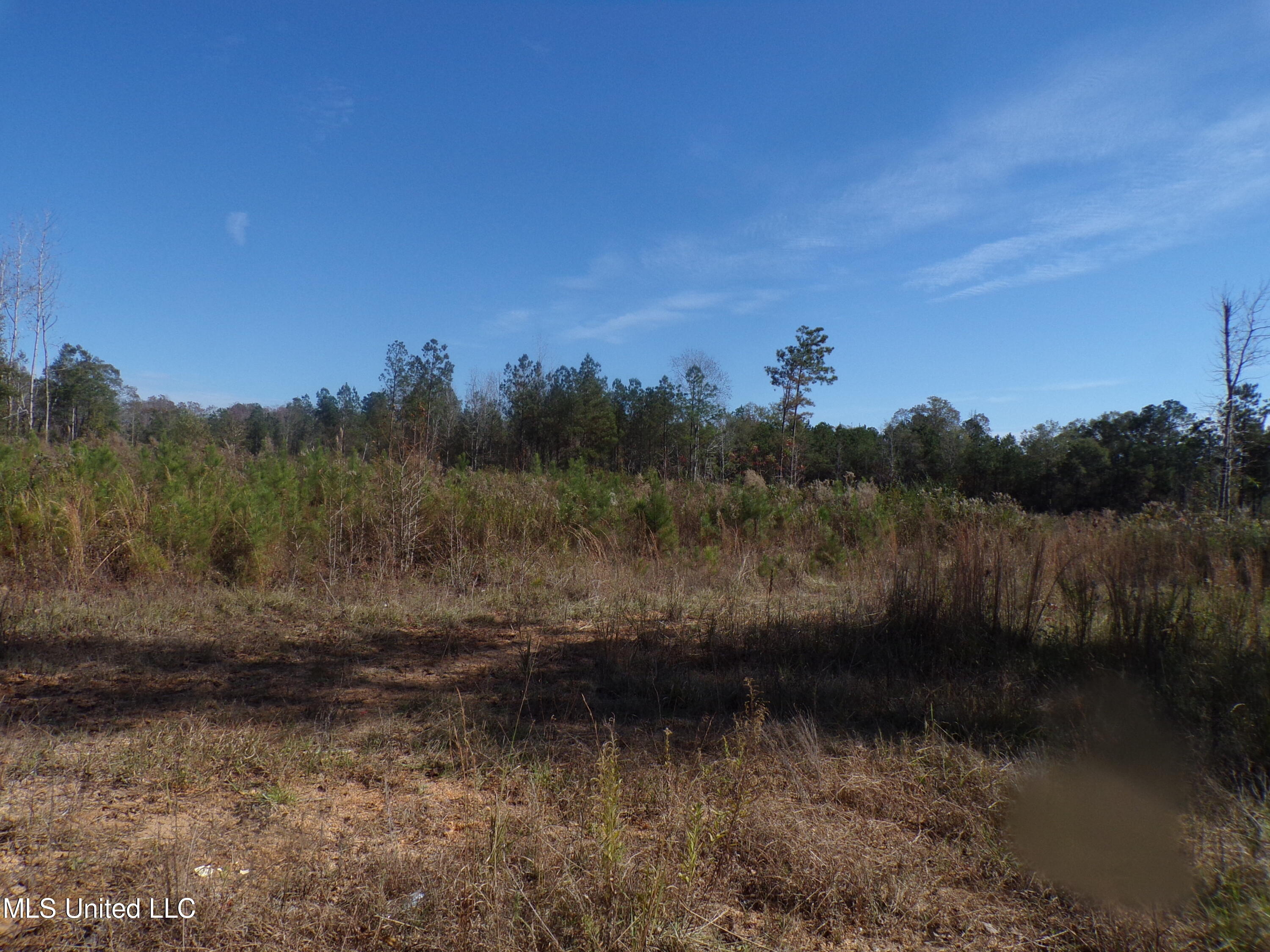 2111 Pleasant Ridge Road Chunky, MS 39323 - Photo 4 of 18 101_2511