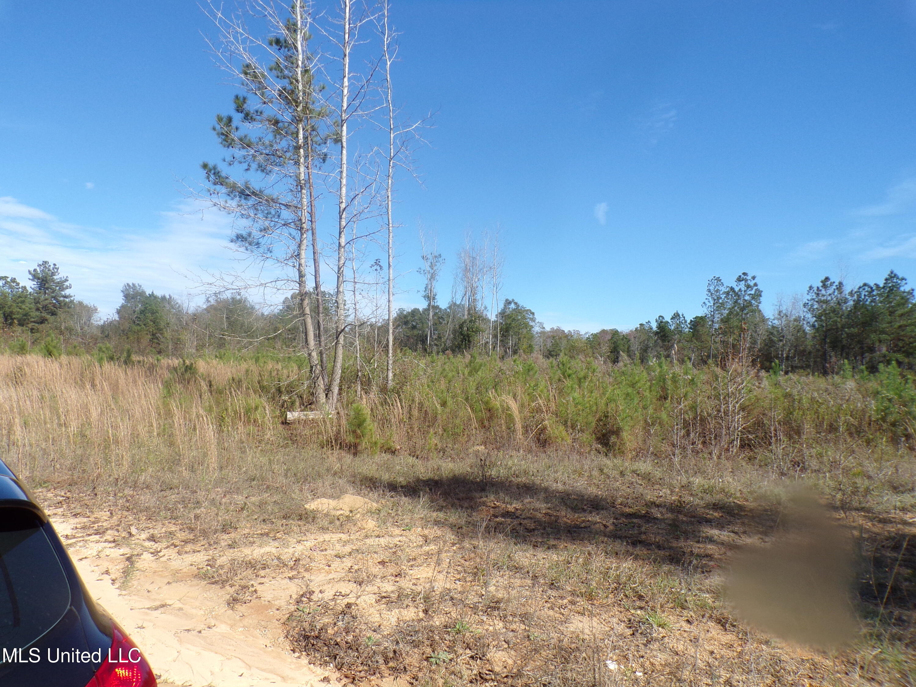 2111 Pleasant Ridge Road Chunky, MS 39323 - Photo 5 of 18 101_2512