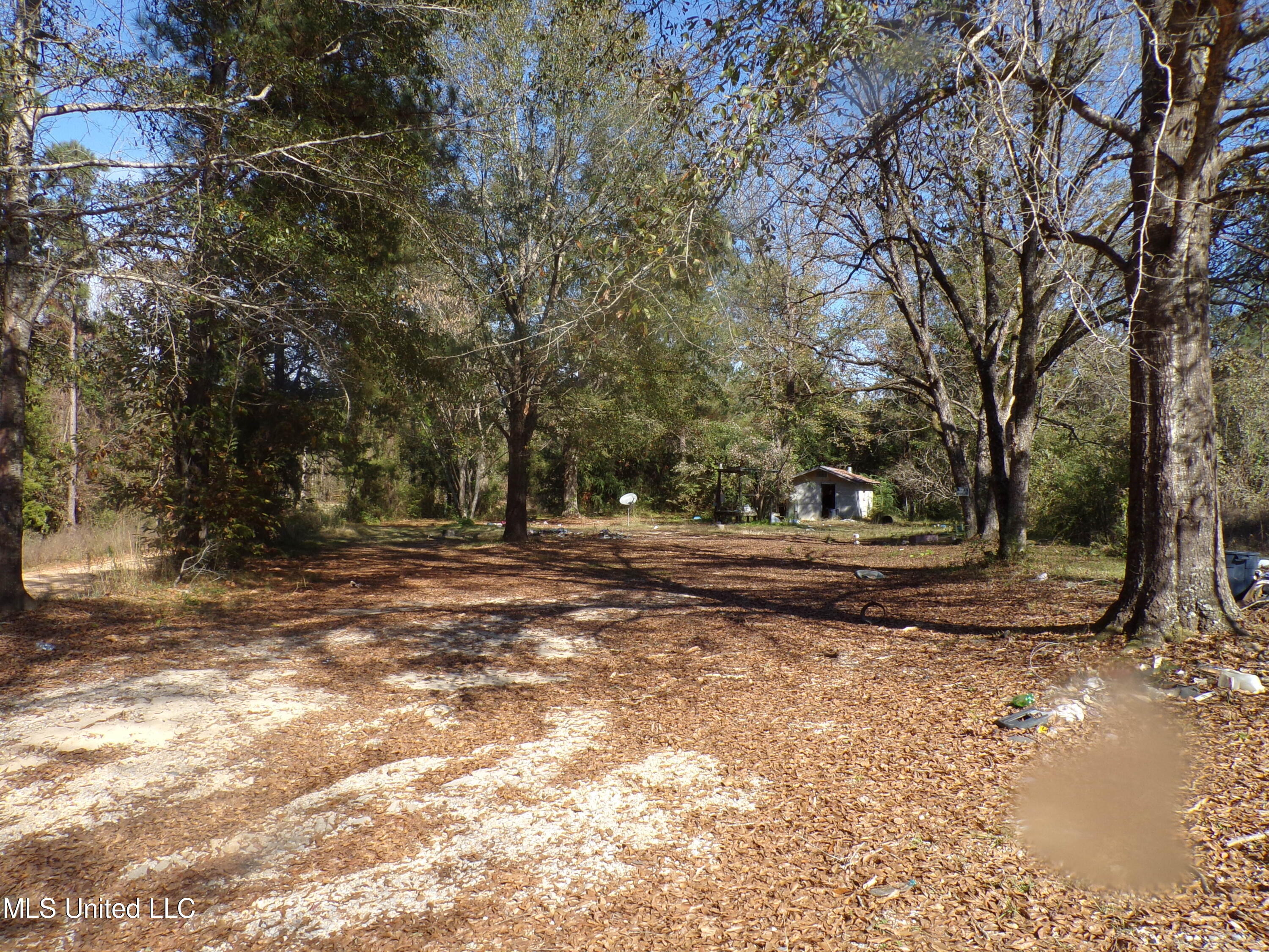 2111 Pleasant Ridge Road Chunky, MS 39323 - Photo 9 of 18 101_2517
