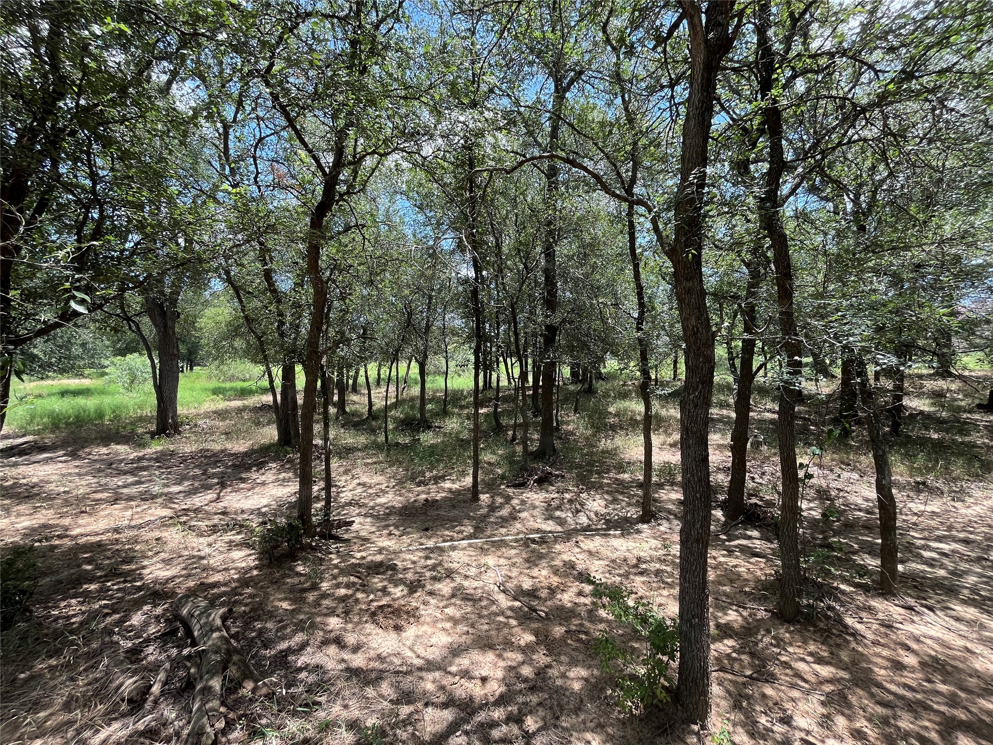 1026 Red Town Road Elgin, TX 78621 - Photo 16 of 20 a view of some trees and tree