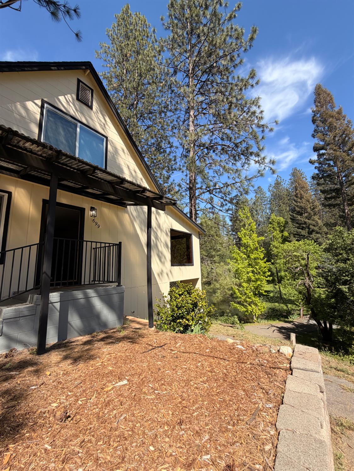 699 Tu-Yu-Mum Lane Colfax, CA 95713 - Photo 5 of 99