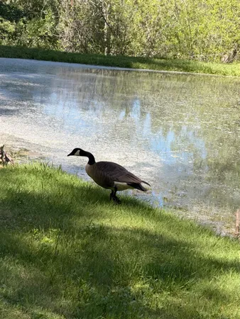 $560,000 | 699 Tu-Yu-Mum Lane, Colfax, CA 95713