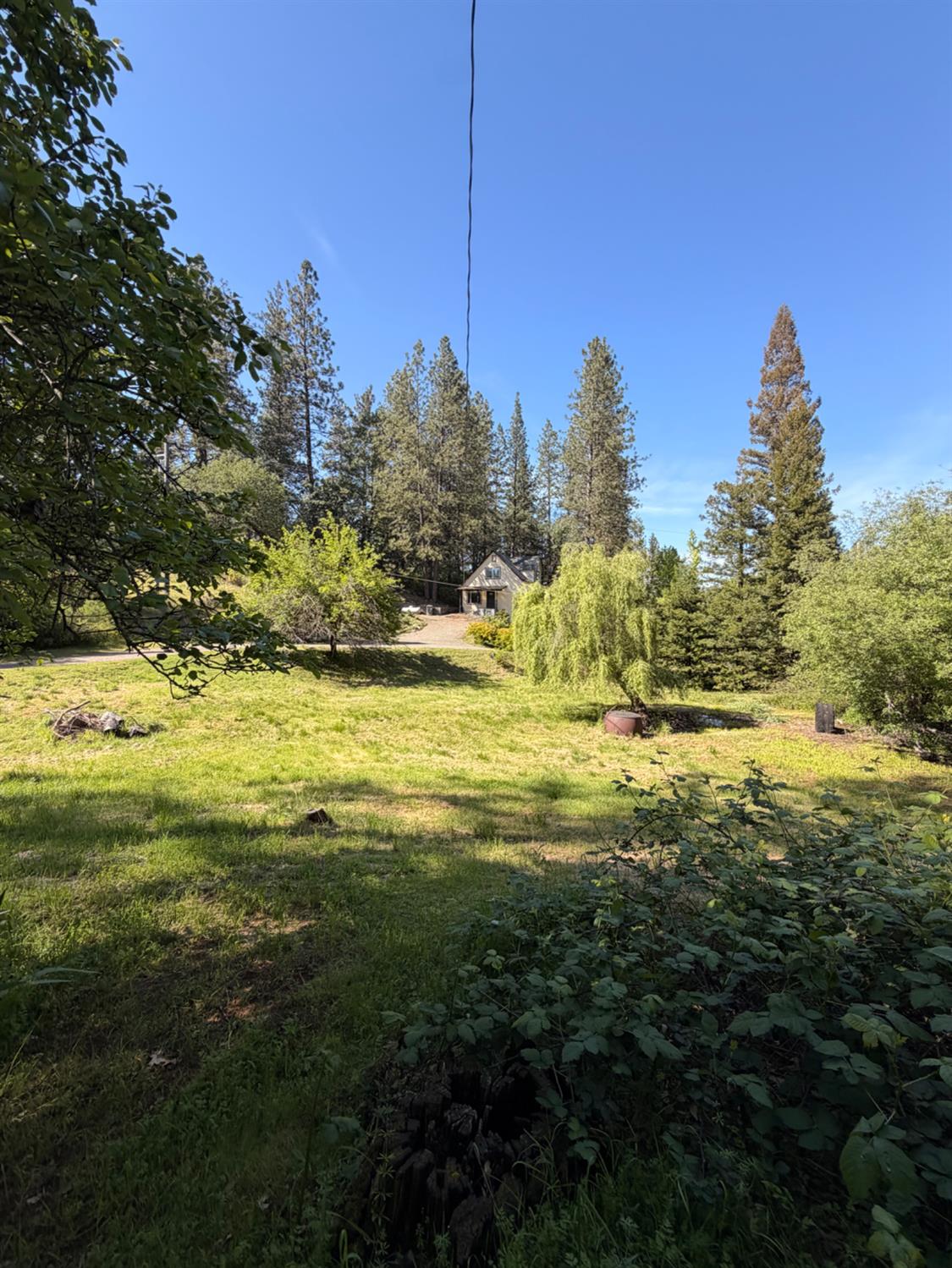 699 Tu-Yu-Mum Lane Colfax, CA 95713 - Photo 98 of 99