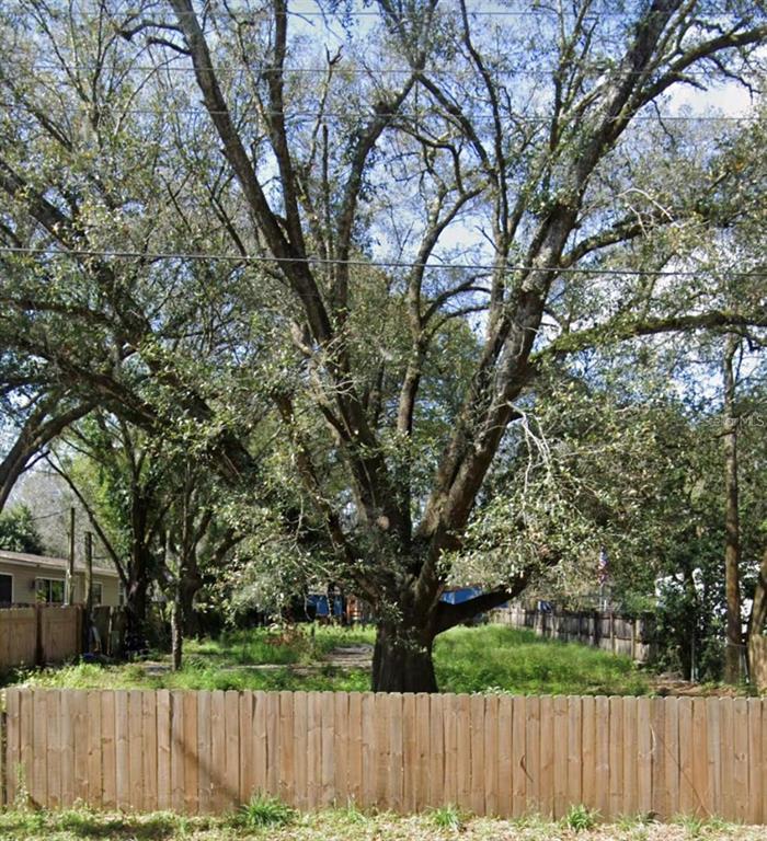 a view of backyard with a trees