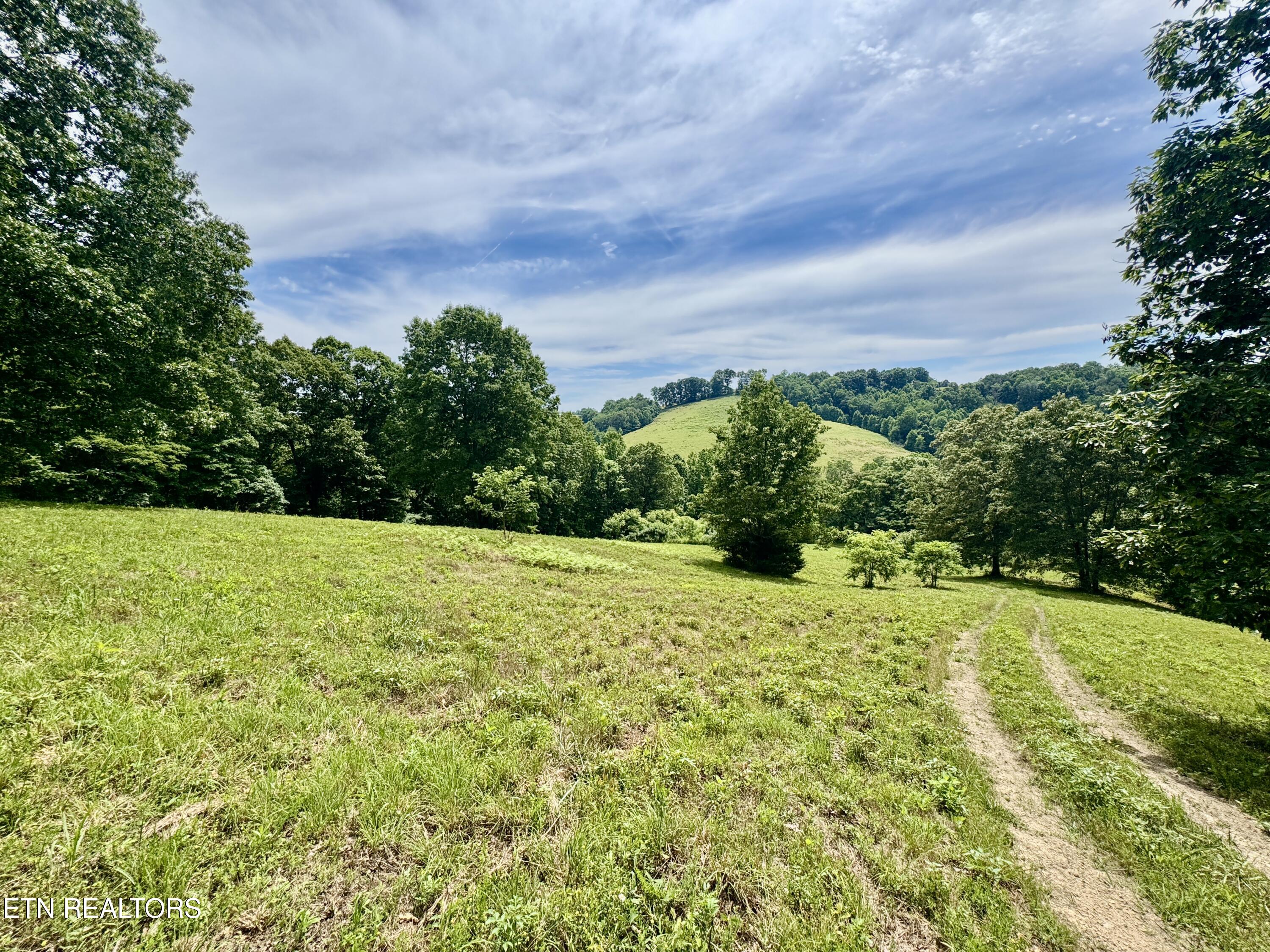 378 Johnson Hollow Road New Tazewell, TN 37825 - Photo 26 of 35 1-26