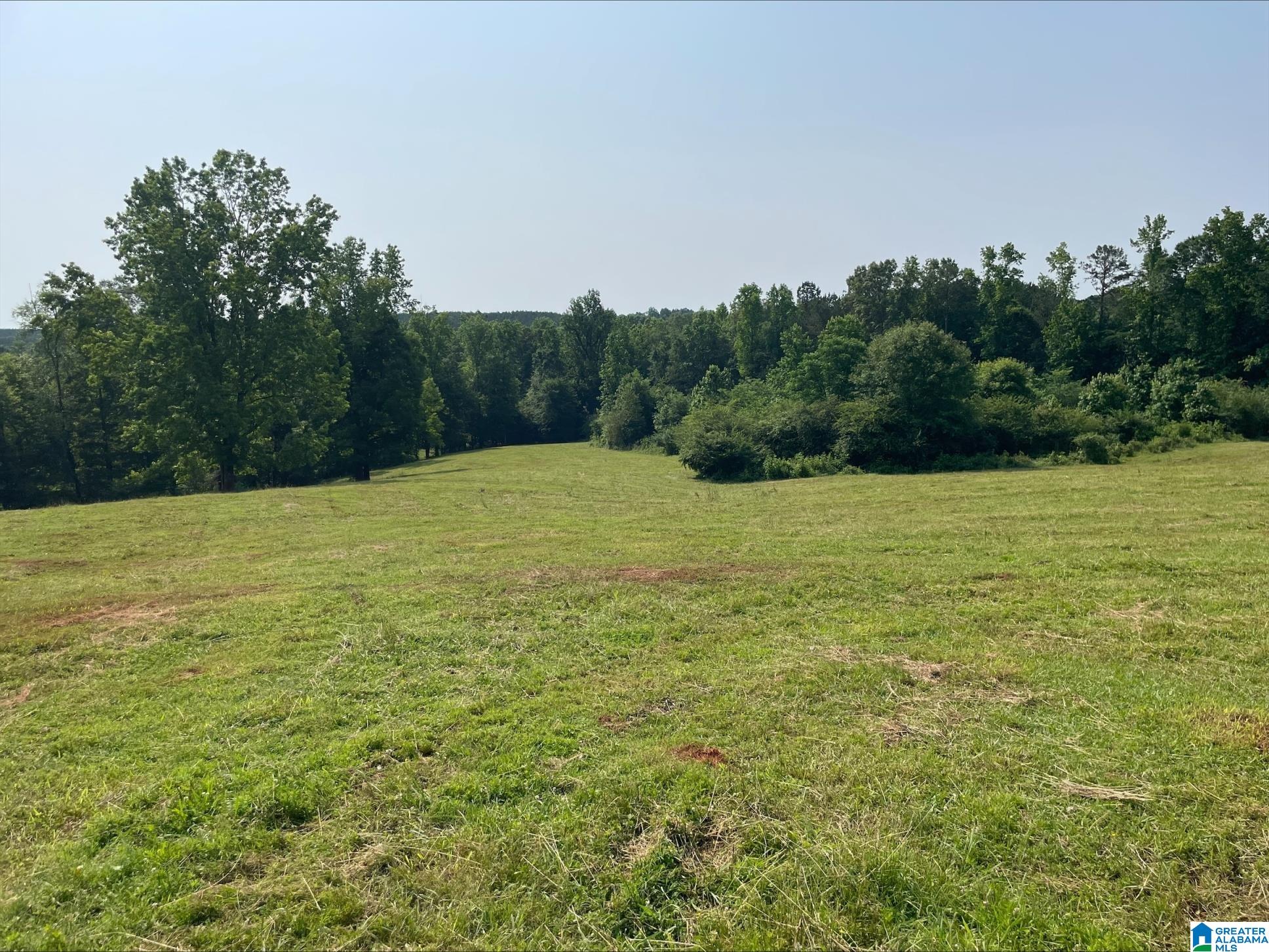 1500 Shiloh Church Road, Unit 81 95 ACRES Delta, AL 36258 - Photo 5 of 28